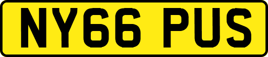 NY66PUS