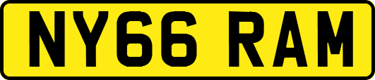 NY66RAM