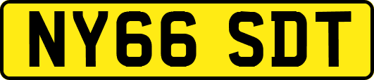 NY66SDT