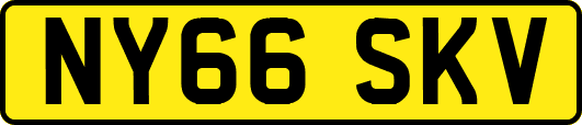 NY66SKV