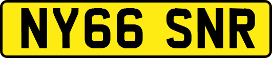 NY66SNR