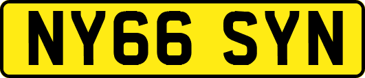 NY66SYN