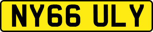 NY66ULY