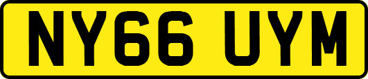 NY66UYM