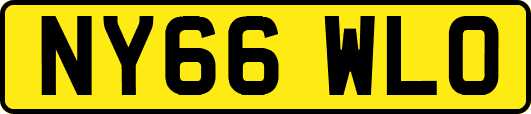 NY66WLO