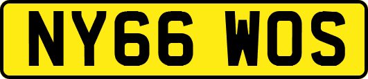 NY66WOS