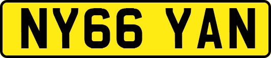 NY66YAN