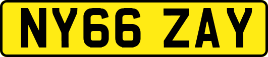 NY66ZAY