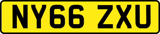 NY66ZXU