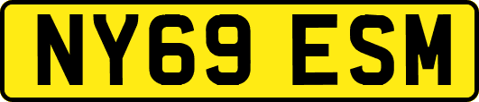 NY69ESM