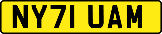 NY71UAM