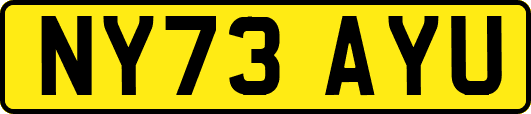 NY73AYU