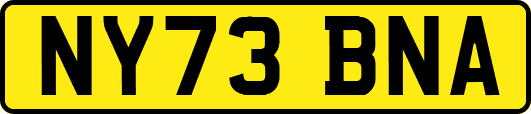 NY73BNA