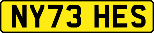 NY73HES