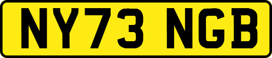NY73NGB