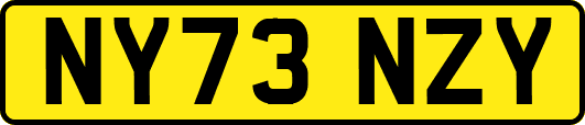NY73NZY