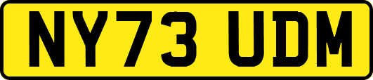 NY73UDM