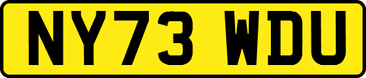 NY73WDU
