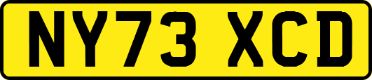 NY73XCD