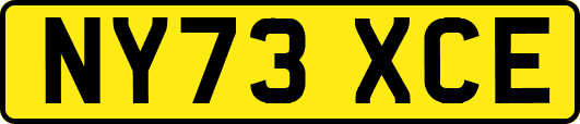 NY73XCE