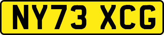 NY73XCG