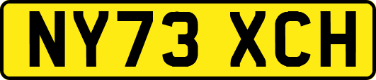 NY73XCH
