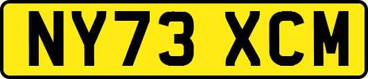 NY73XCM