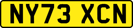 NY73XCN