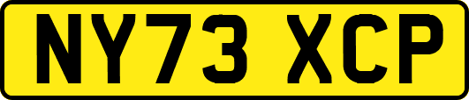 NY73XCP
