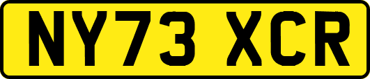 NY73XCR