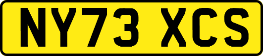 NY73XCS