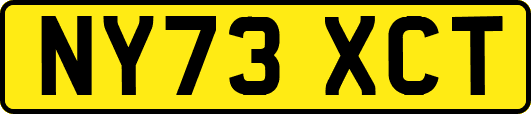 NY73XCT