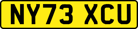 NY73XCU