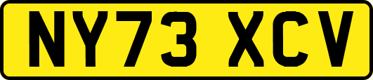 NY73XCV