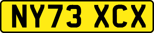 NY73XCX