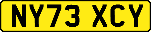 NY73XCY