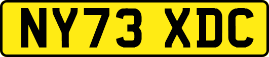 NY73XDC