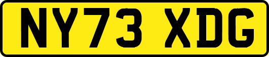 NY73XDG