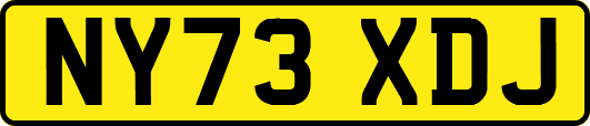 NY73XDJ