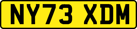 NY73XDM