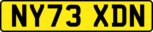 NY73XDN