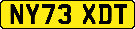 NY73XDT