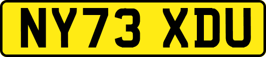 NY73XDU