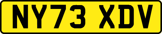 NY73XDV
