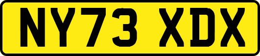 NY73XDX
