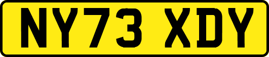 NY73XDY