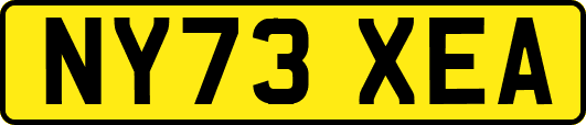 NY73XEA