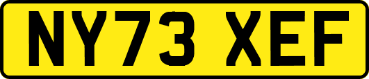NY73XEF