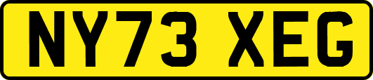 NY73XEG