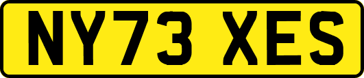 NY73XES